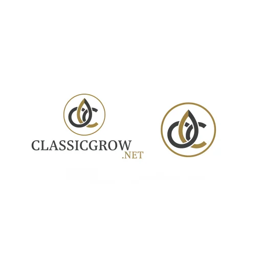 糖爹驗證站 Logo